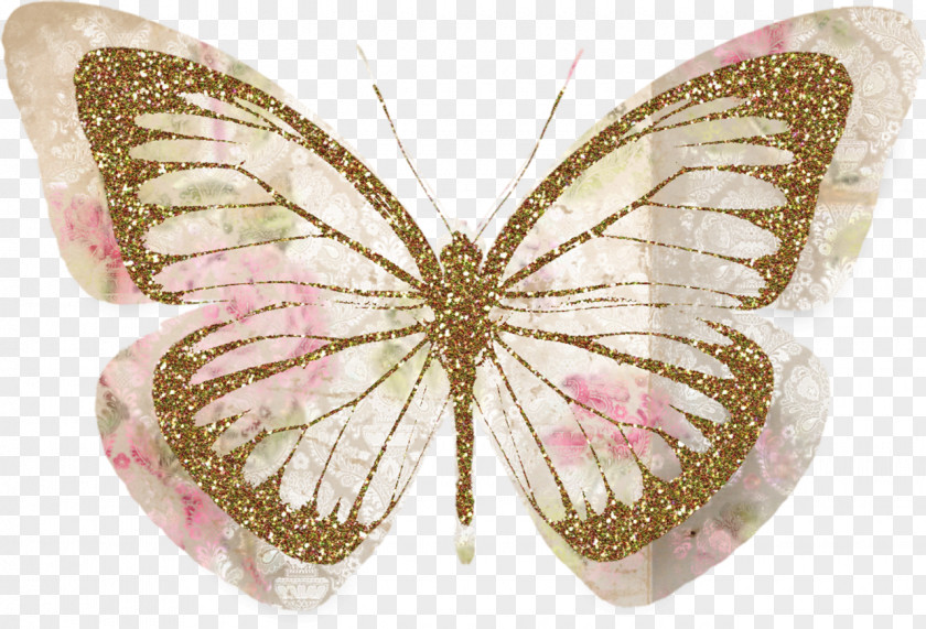 Butterfly Desktop Wallpaper Papillon Dog Stock Photography Clip Art PNG