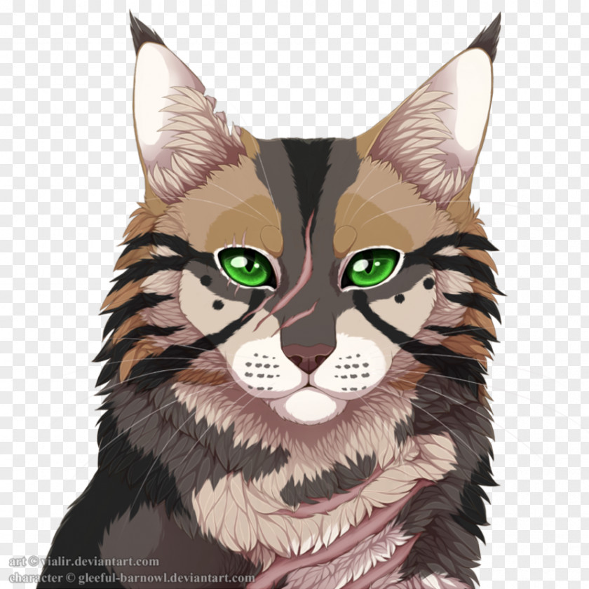 Cat Whiskers Wildcat Tabby Fauna PNG