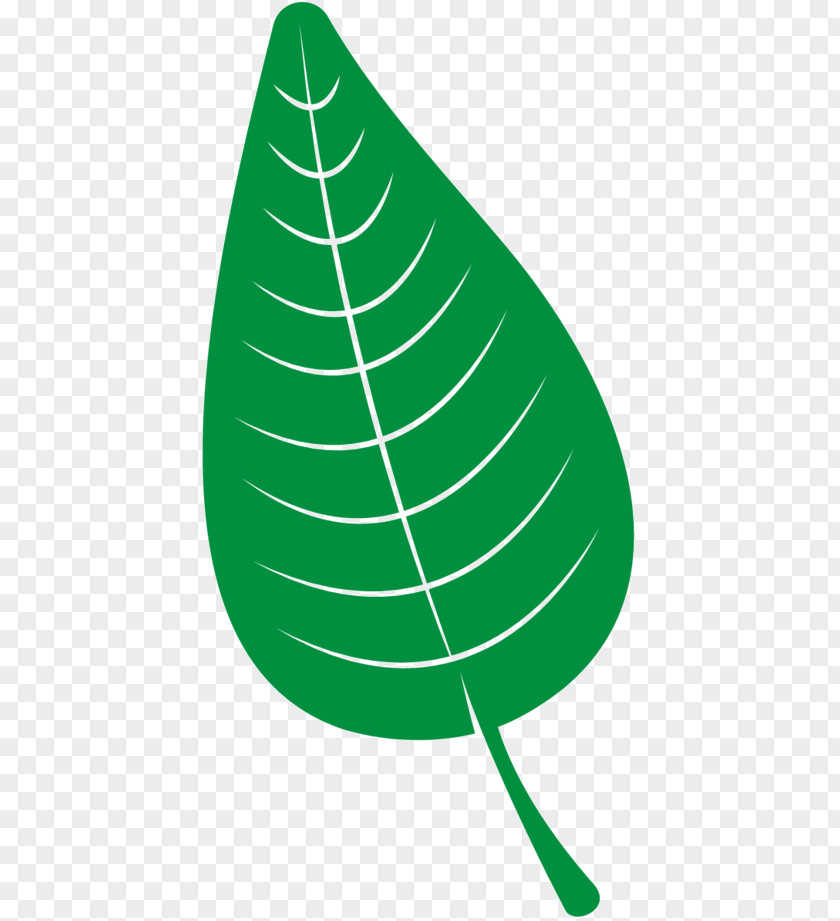 Clip Art Leaf Line Tree PNG