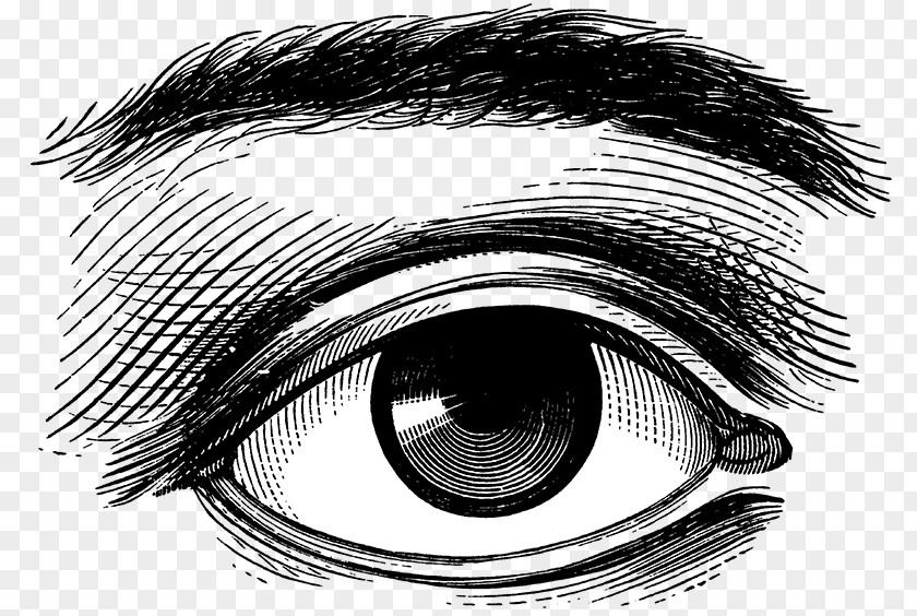 Eye Victorian Era Drawing Clip Art PNG