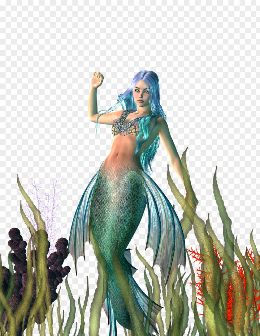 Mermaid Fairy Tale Siren Legendary Creature PNG