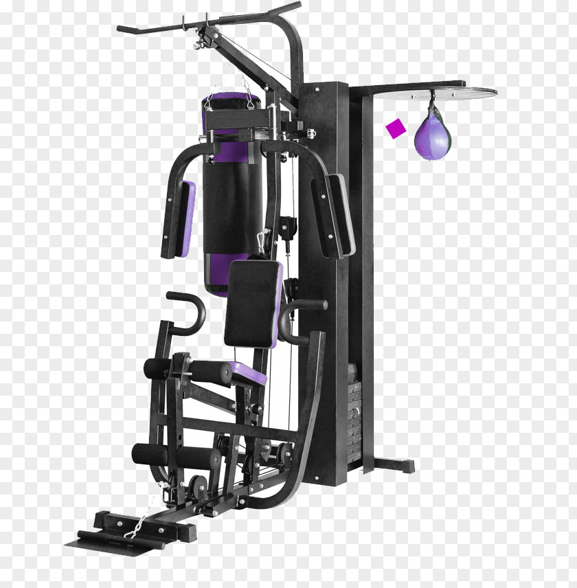 Active Spine And Sport Roman Sports Elliptical Trainers Fitness Centre Sporting Goods PNG