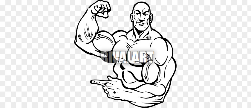 Bodybuilding Eugen Sandow Olympic Weightlifting Drawing Clip Art PNG