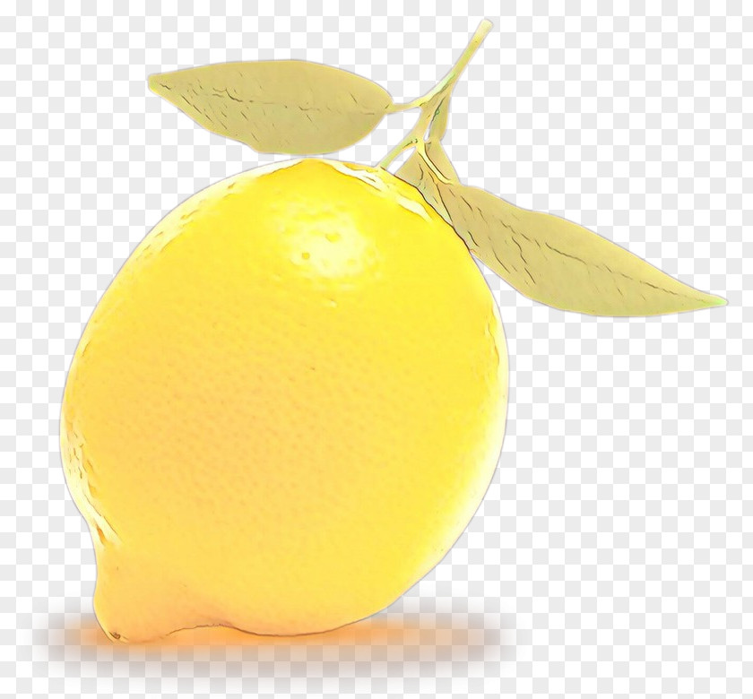 Citrus Meyer Lemon Yellow Fruit Food Plant PNG