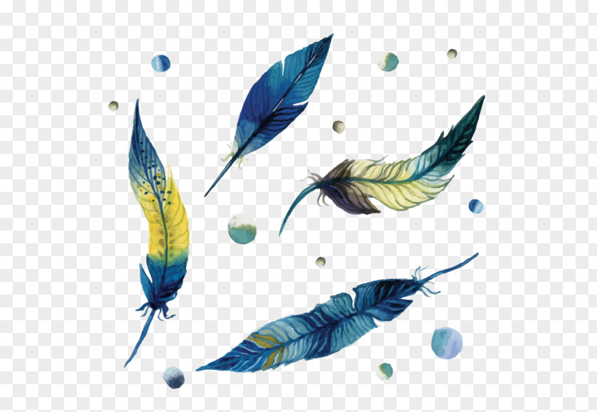 Feather Paper Watercolor Painting Drawing PNG