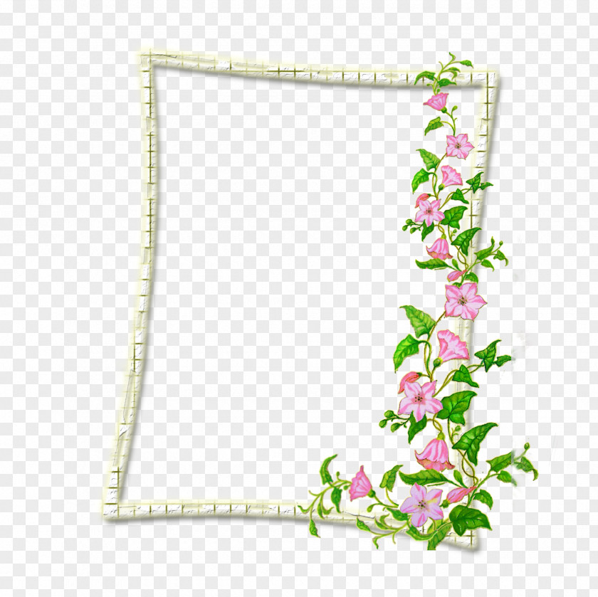 Mood Frame Picture Frames Door Photography Flower PNG