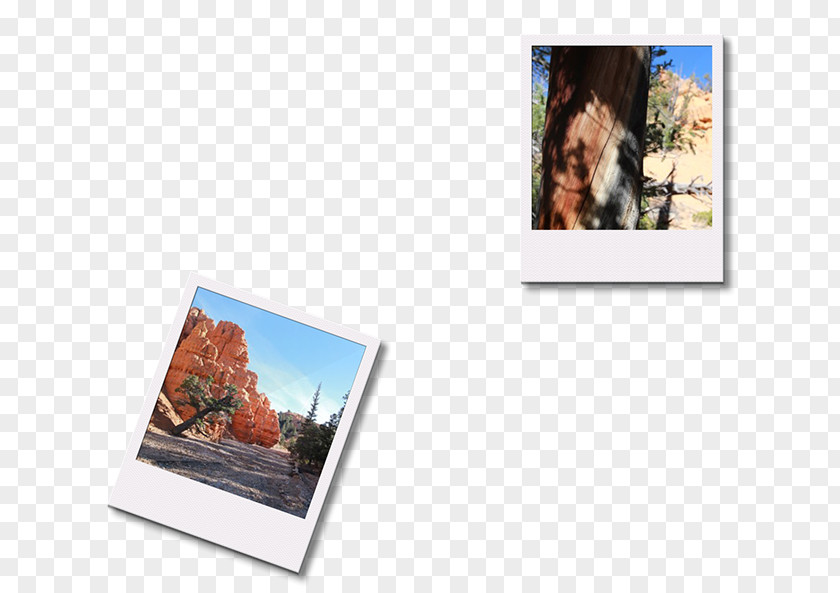Photographic Paper Picture Frames Photography PNG