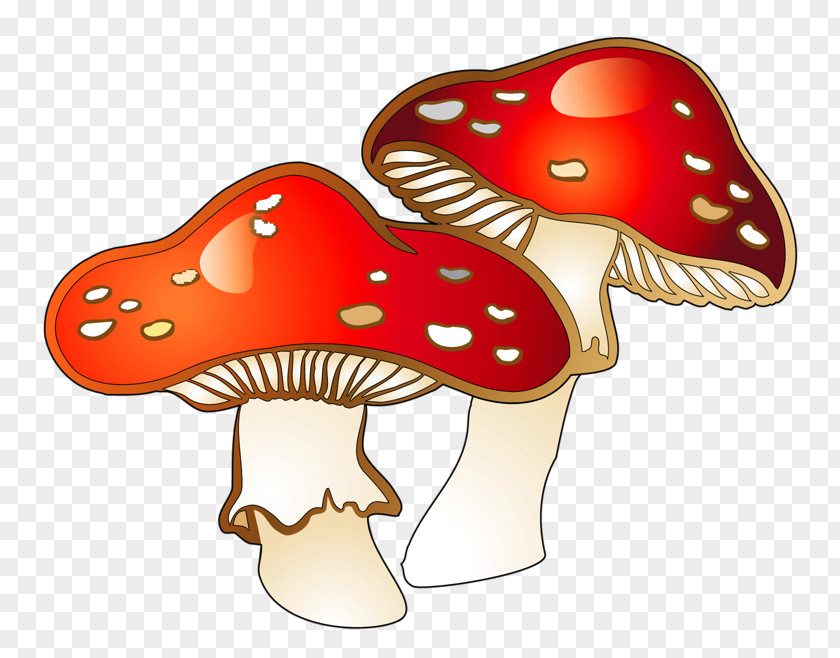 Red Mushroom Fungus Clip Art PNG
