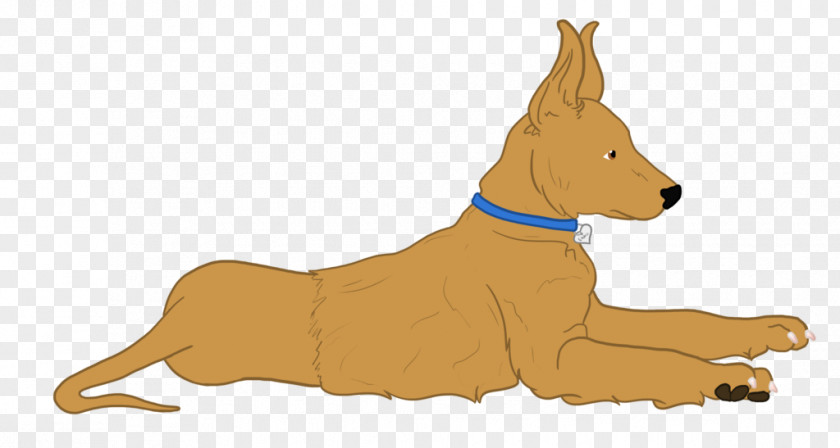 Refusing To Cheat And Discipline Dog Breed Puppy Snout PNG