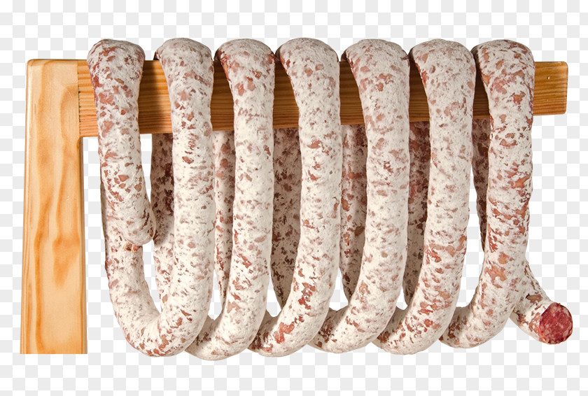 Sausage Salami Cervelat Bratwurst Knackwurst PNG