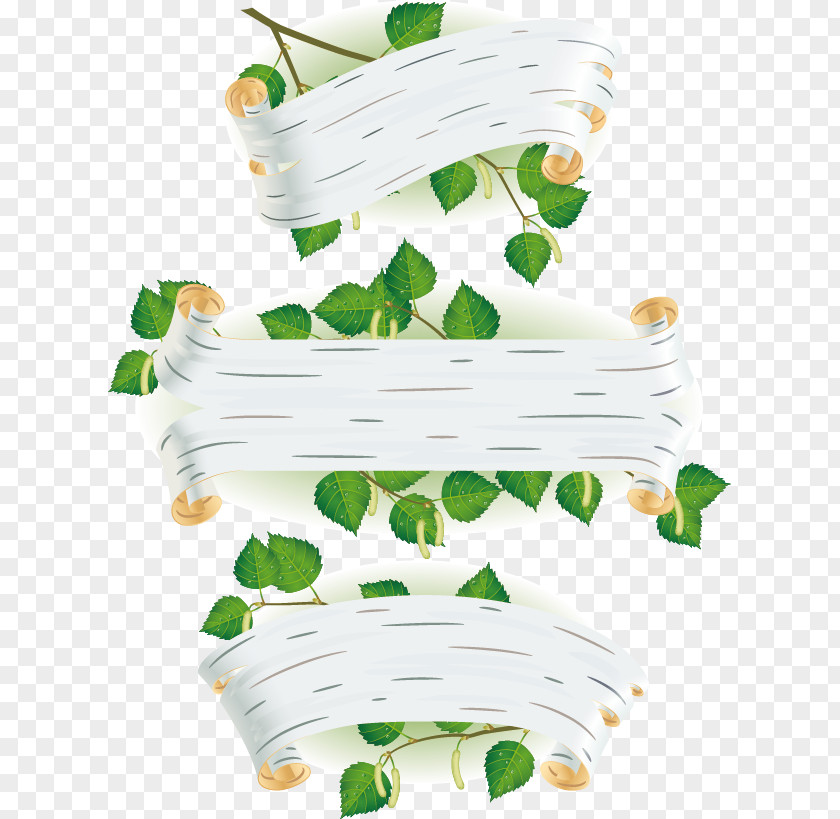 3 Green Leaf Birch Title In Style Background Vector Free Download Euclidean Bark PNG
