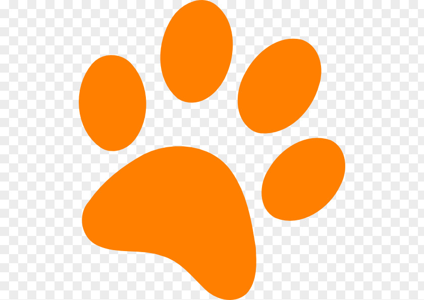 Cougar Paw Clipart Tiger Black Panther Cat Clemson University Dog PNG