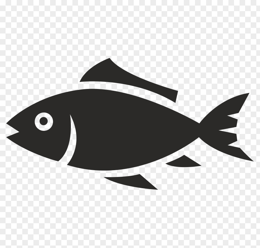 Fish Flyer Illustration Clip Art PNG