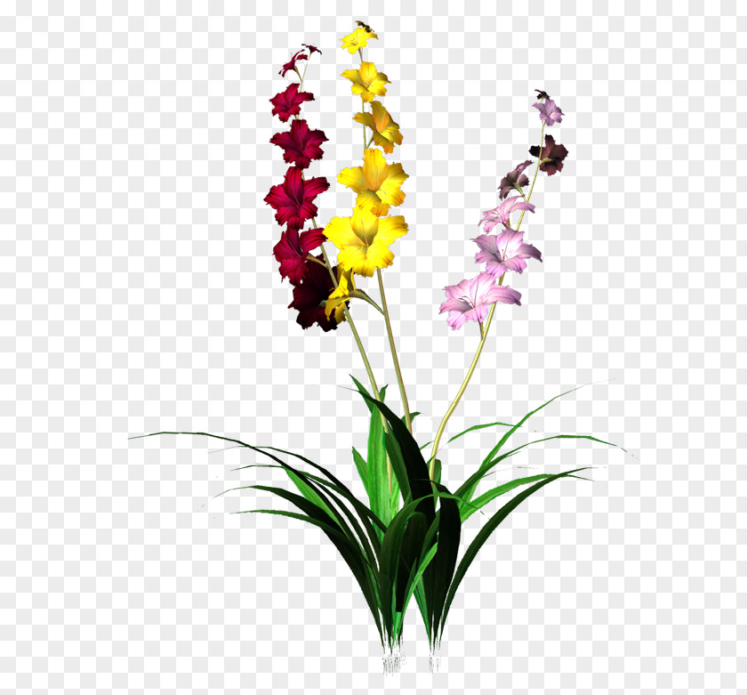 Flower Drawing PNG