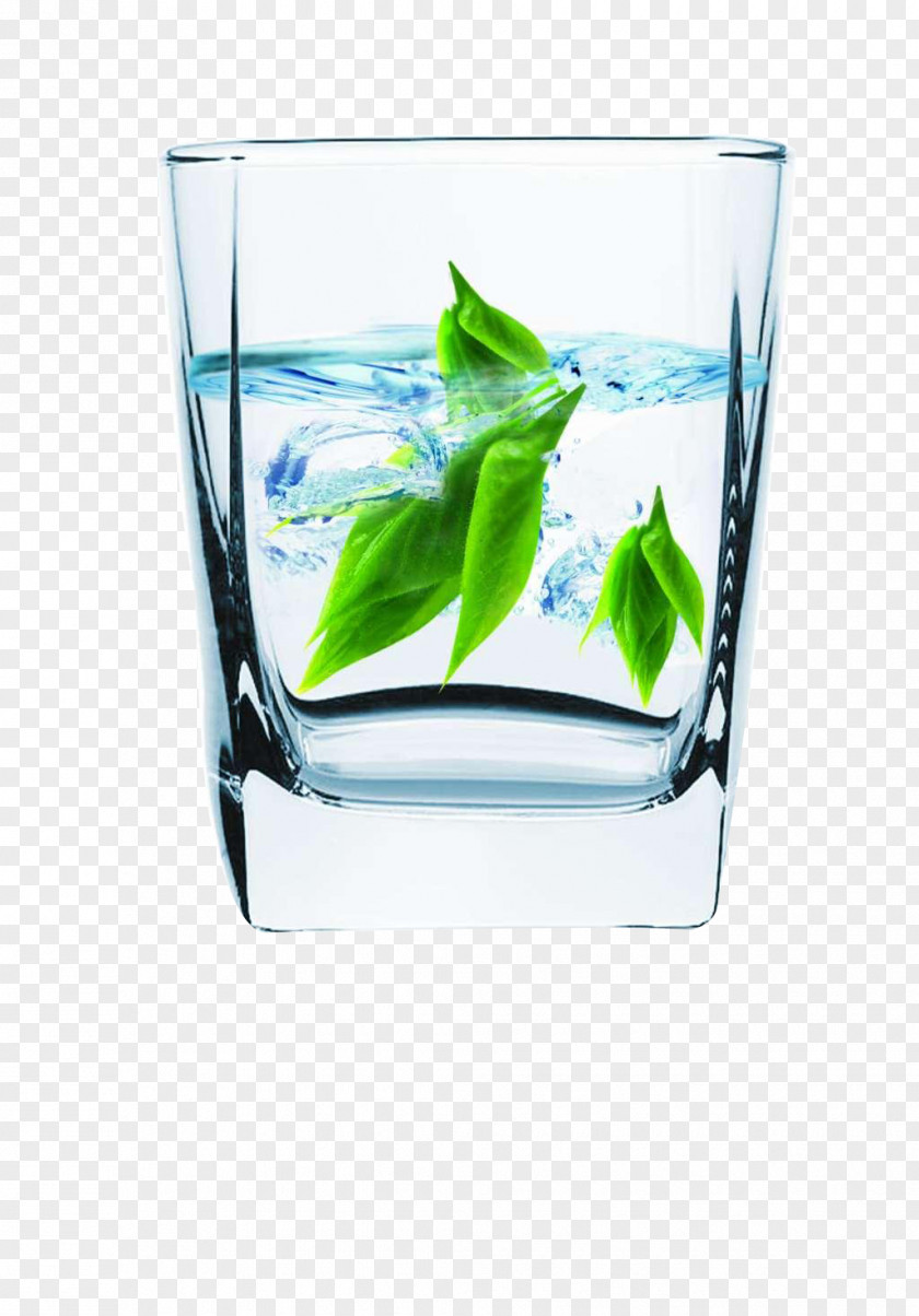 Glass Mug Water Filter Tea Cup Ionizer PNG