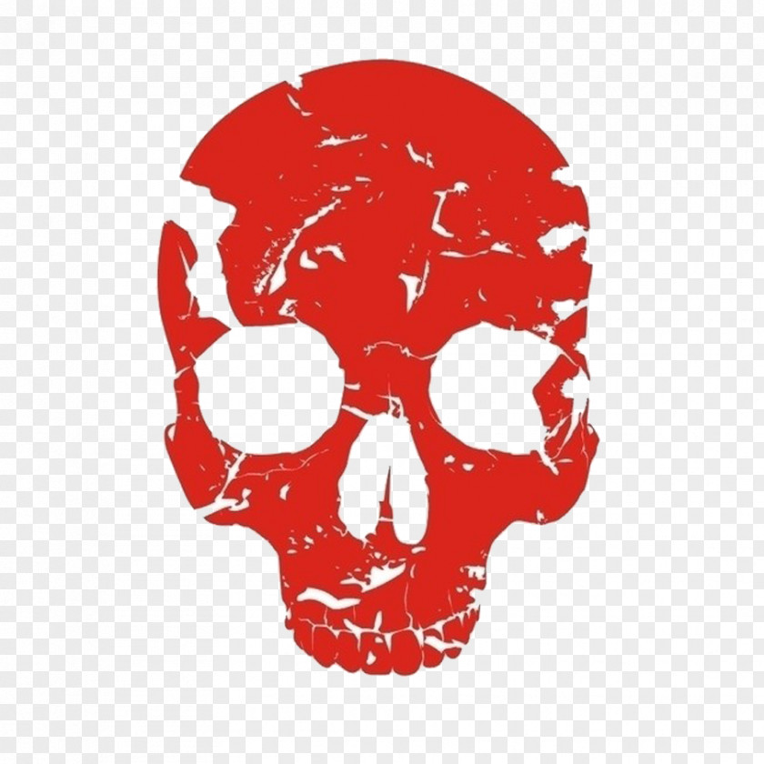 Red Skull Human Skeleton Bone PNG