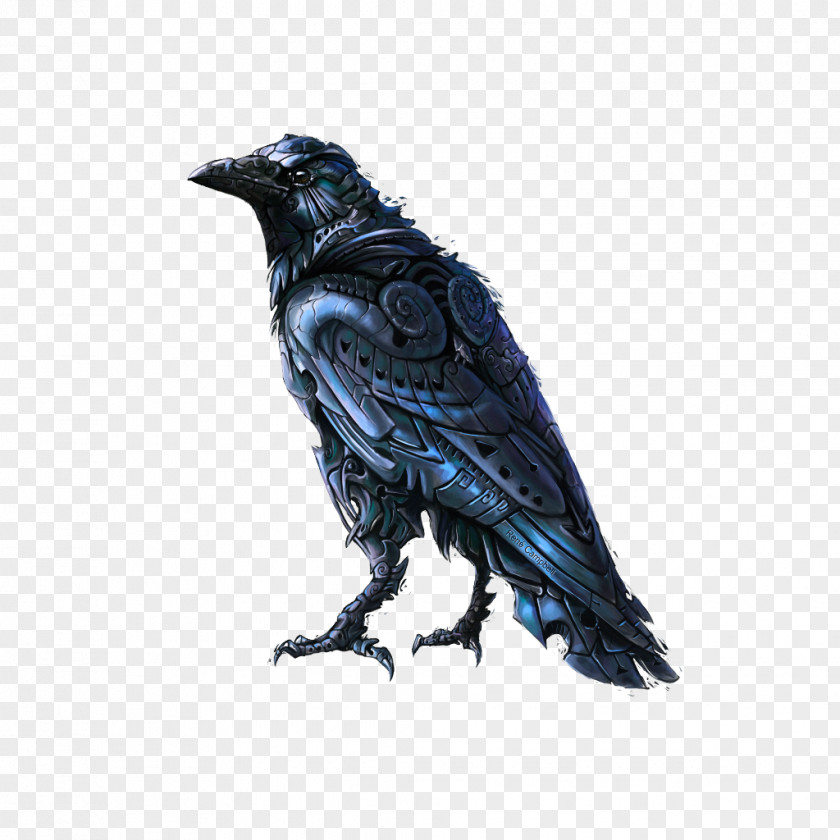 Crow Common Raven Art Image PNG