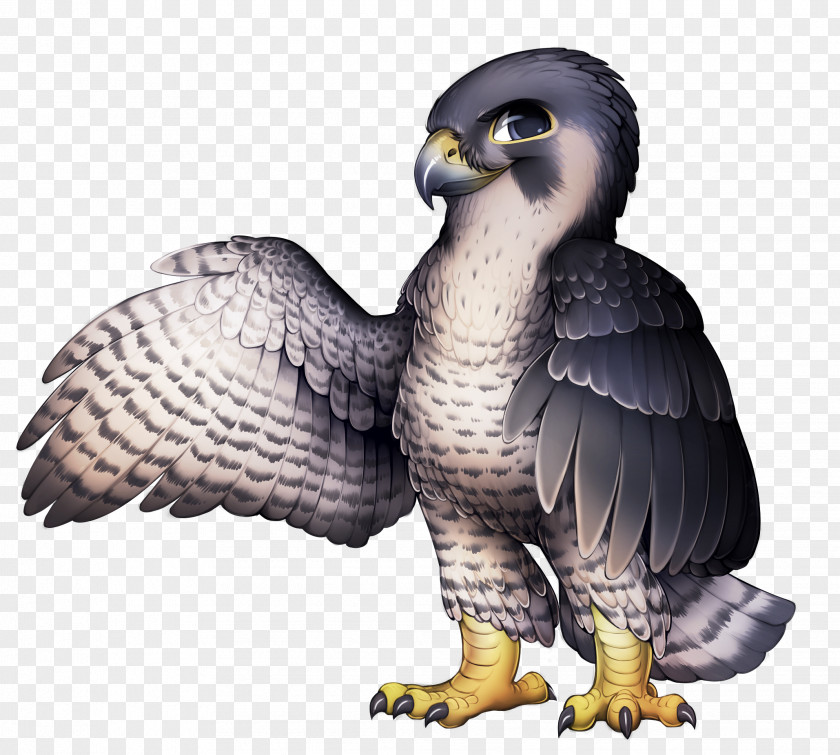 Falcon Bird Of Prey The Peregrine PNG