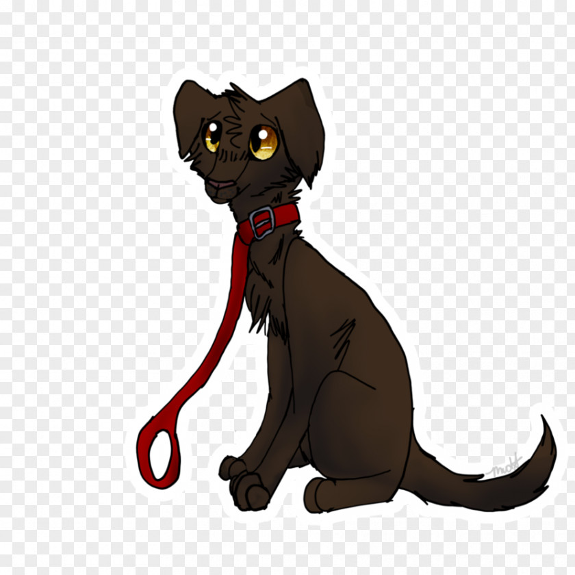 Kitten Whiskers Black Cat Paw PNG