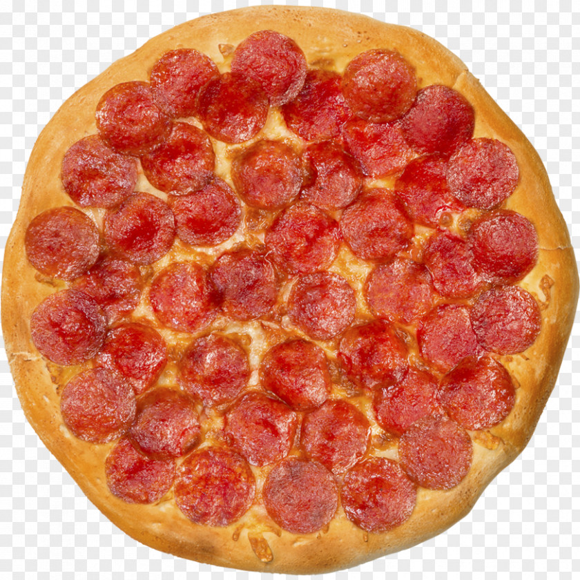 Pizza Sicilian Salami California-style Panini PNG
