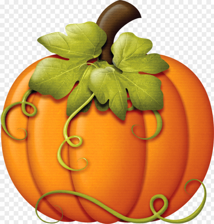 Pumpkin Thanksgiving Turkey Clip Art PNG