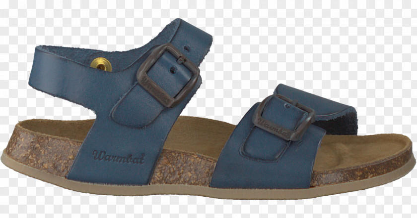 Sandal Slide Shoe Walking PNG