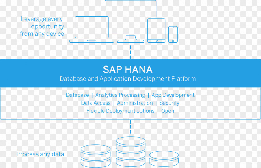 Simple Newspapers SAP HANA Business One SE Data S/4HANA PNG