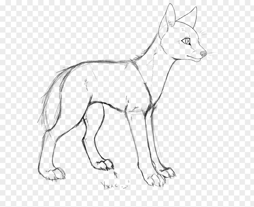 Dog Red Fox Breed Line Art Whiskers PNG