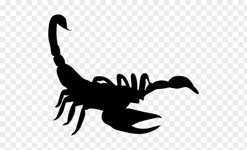 Scorpion Silhouette Drawing PNG