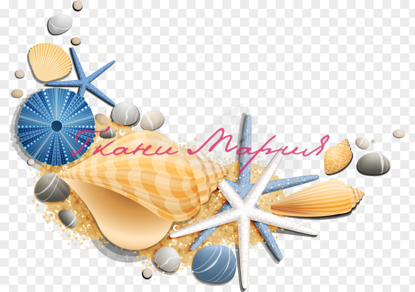 Seashell Restaurant Le Coquillage Clip Art Oyster Image PNG