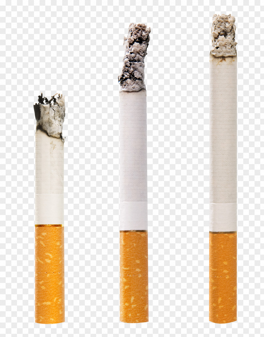 Set Of Cigarettes Cigarette Clip Art PNG
