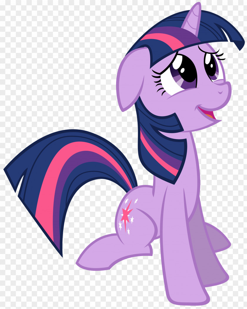 Sparkle Vector Pony Twilight Spike Derpy Hooves The Saga PNG