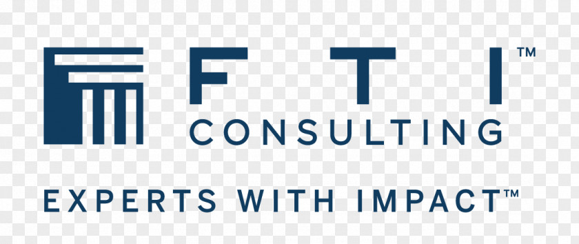 Business FTI Consulting Organization Consultant Management PNG
