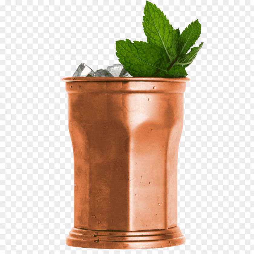 Cocktail Mint Julep Moscow Mule Mai Tai Mojito PNG