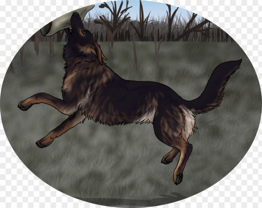 Figo German Shepherd Dog Breed Razas Nativas Vulnerables PNG