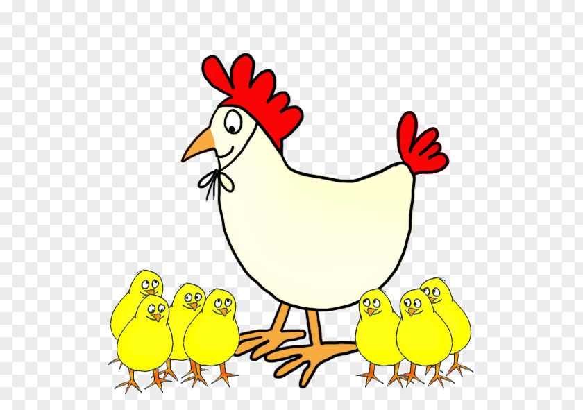 Hen Chicken Desktop Wallpaper Clip Art PNG