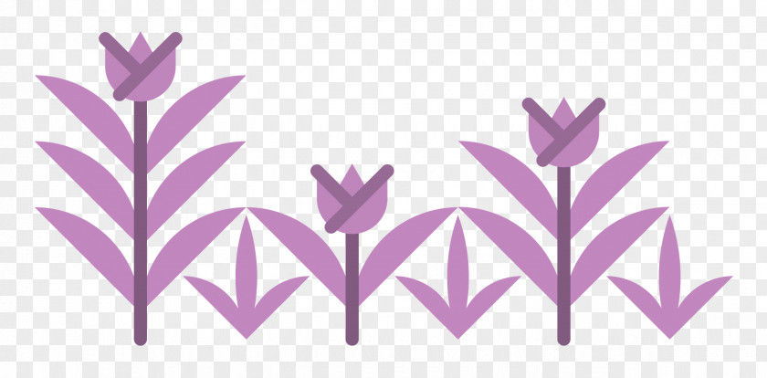 Lavender PNG