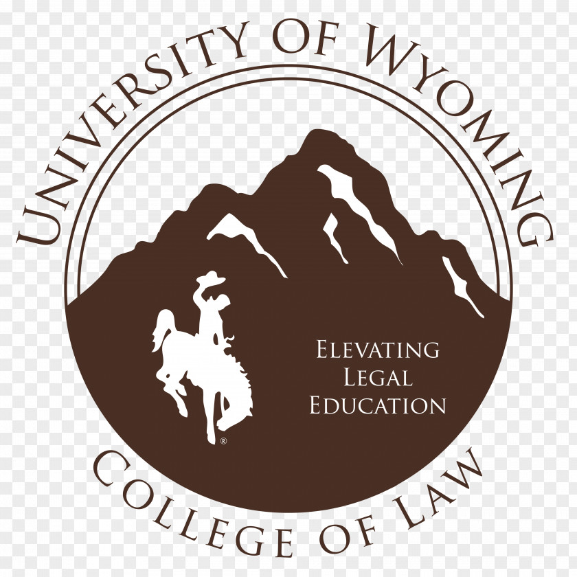 Student University Of Wyoming College Law Cowboys Football PNG