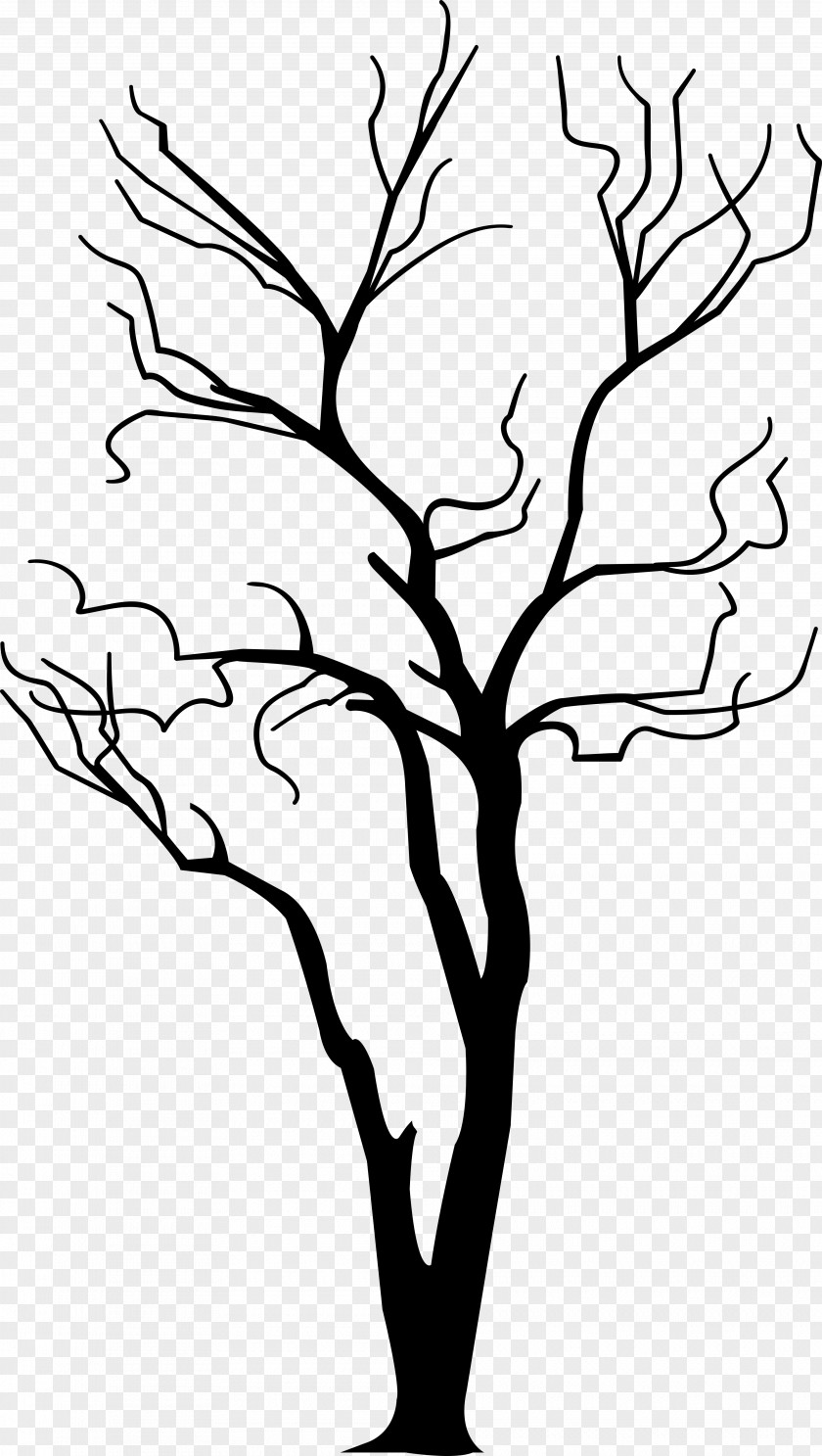 Tree Twig Drawing Branch Clip Art PNG