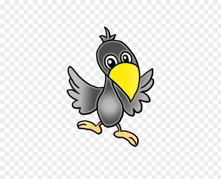 Landfowl Ducks Chicken Birds Beak PNG