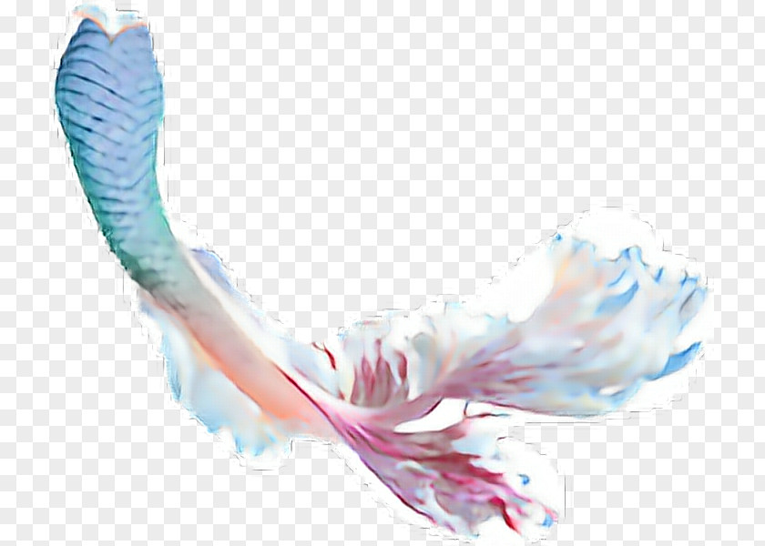 Mermaid Clip Art Desktop Wallpaper Transparency PNG