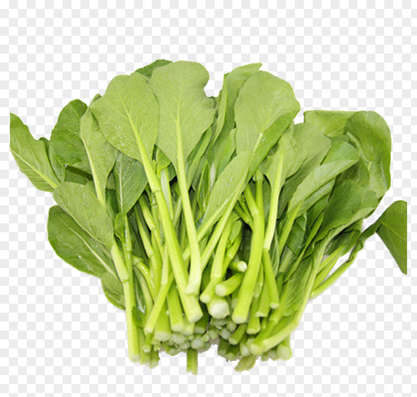 Vegetables Romaine Lettuce Choy Sum Chinese Cabbage Vegetable Spring Greens PNG