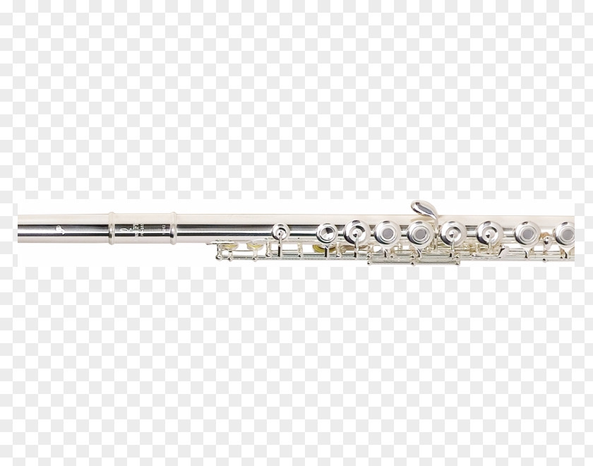 Flute Western Concert Piccolo PNG