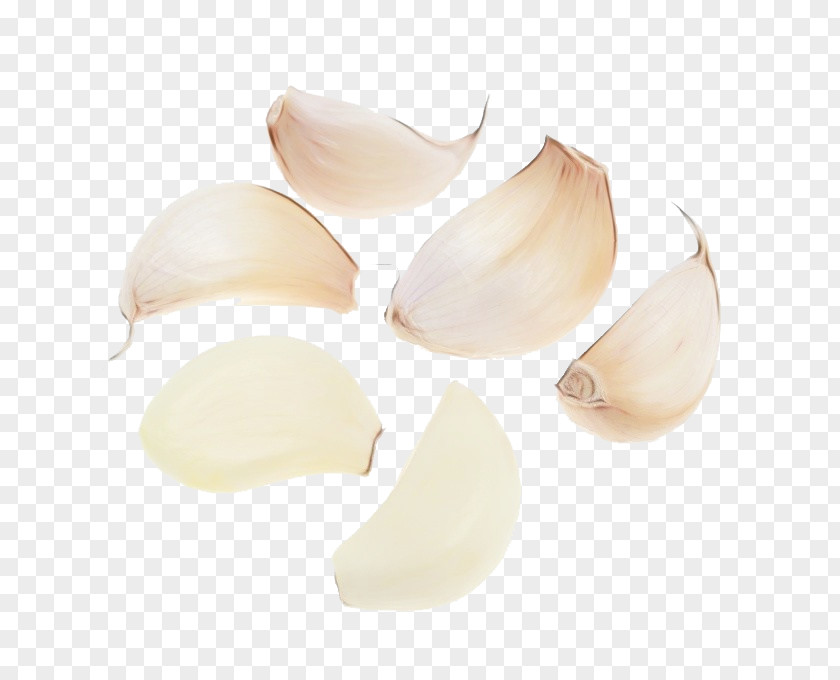 Garlic Shallot PNG