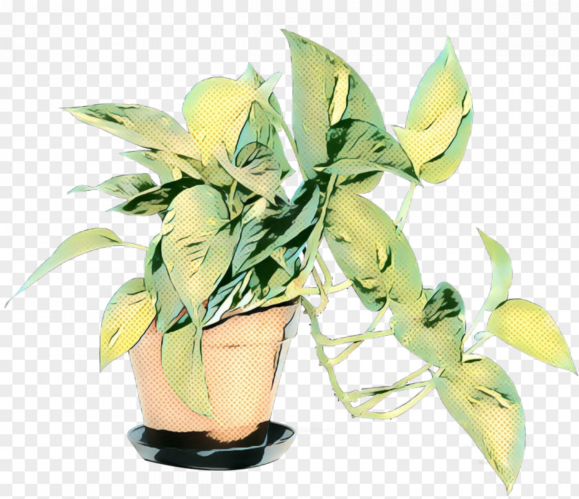 Herb Anthurium Plants Background PNG