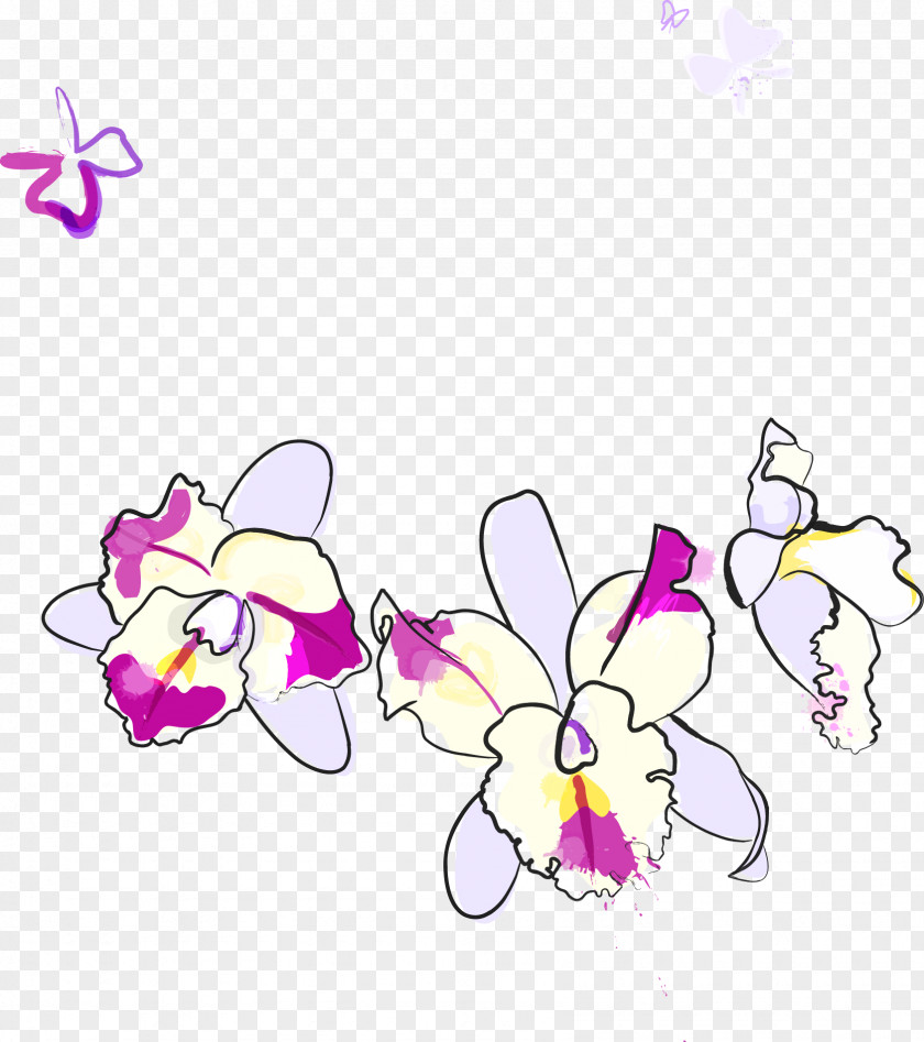 Purple Phalaenopsis Violacea Flower PNG