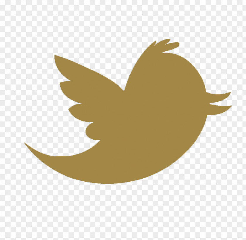 Twitter Bird Cutout Clip Art Logo Vector Graphics Image PNG
