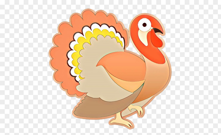 Cartoon Bird Chicken Beak Turkey PNG