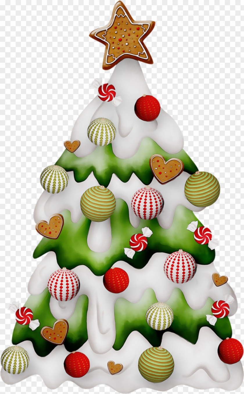 Conifer Pine Christmas Decoration PNG