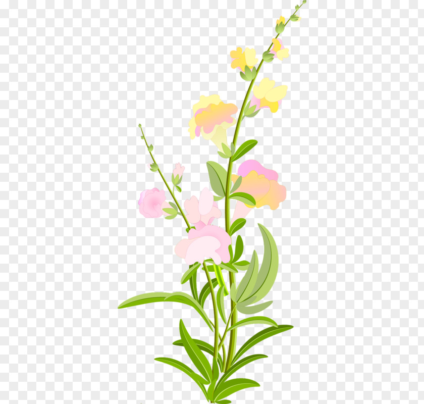 Flower Floral Design Cut Flowers Petal Plant Stem PNG